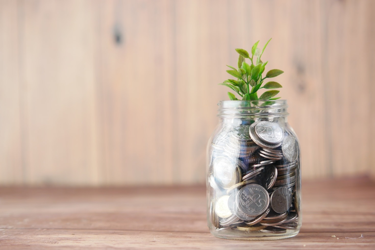 Why Transparency Matters in Your Investment Journey